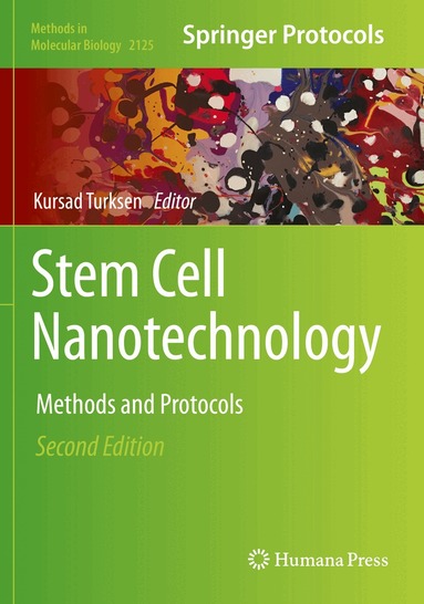 Kursad Turksen - Stem Cell Nanotechnology, Häftad