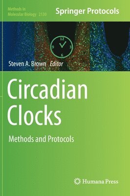 Circadian Clocks