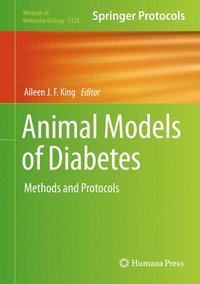 bokomslag Animal Models of Diabetes