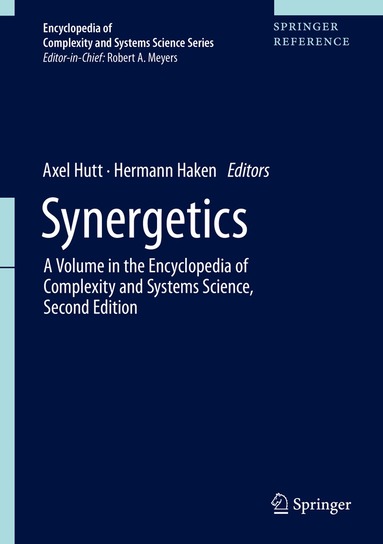 Axel Hutt, Hermann Haken - Synergetics, Inbunden