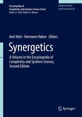 bokomslag Synergetics