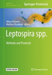 bokomslag Leptospira spp.