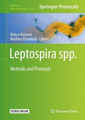 Leptospira spp. 1