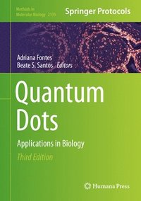 bokomslag Quantum Dots