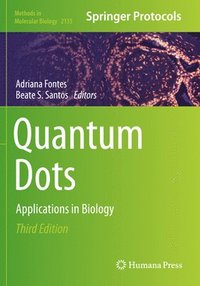 bokomslag Quantum Dots