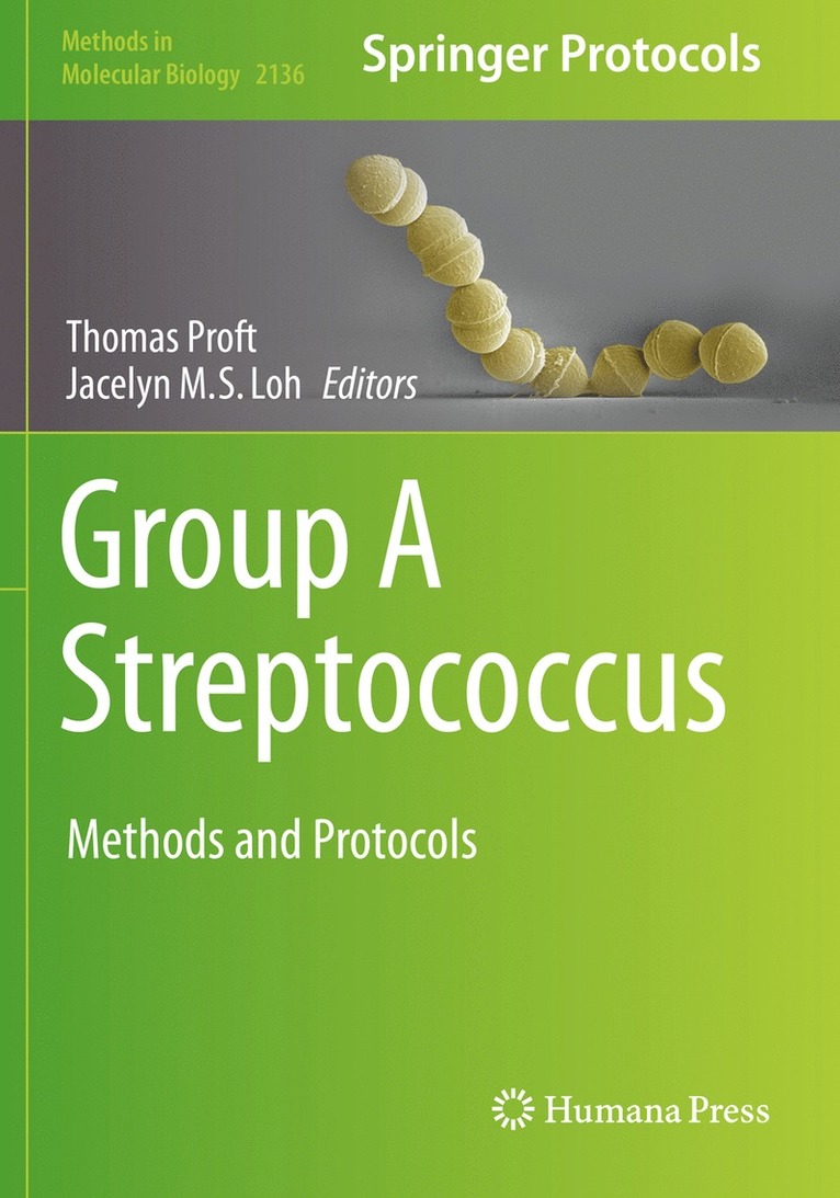 Group A Streptococcus