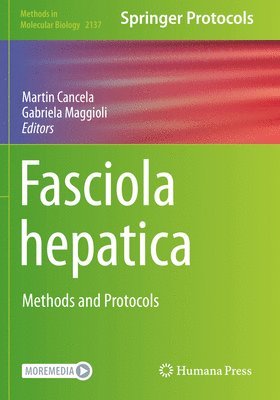 Fasciola hepatica 1