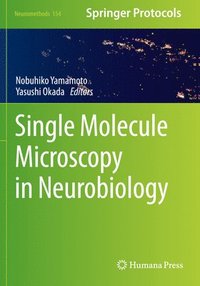 bokomslag Single Molecule Microscopy in Neurobiology