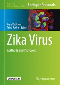 bokomslag Zika Virus