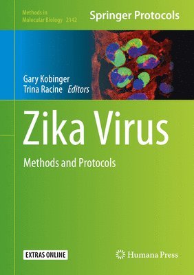 bokomslag Zika Virus