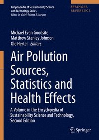bokomslag Air Pollution Sources, Statistics and Health Effects