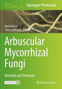 bokomslag Arbuscular Mycorrhizal Fungi