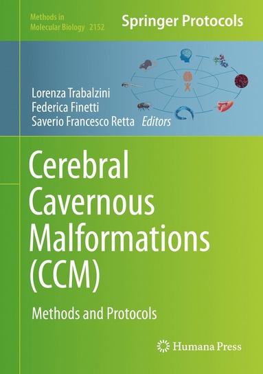 bokomslag Cerebral Cavernous Malformations (CCM)