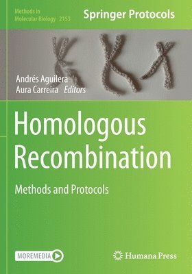 bokomslag Homologous Recombination