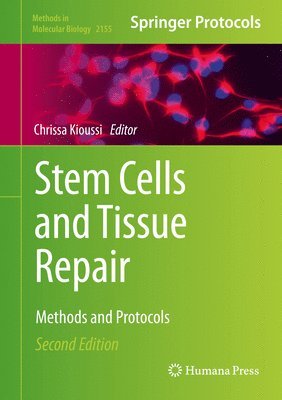 Stem Cells and Tissue Repair 1