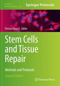 bokomslag Stem Cells and Tissue Repair