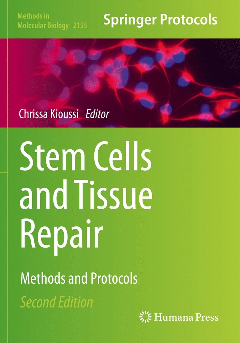 Chrissa Kioussi - Stem Cells and Tissue Repair, Häftad