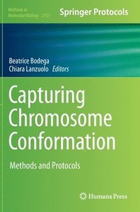 bokomslag Capturing Chromosome Conformation