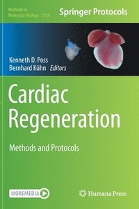 bokomslag Cardiac Regeneration