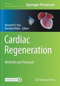bokomslag Cardiac Regeneration
