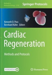 bokomslag Cardiac Regeneration