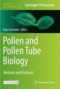 bokomslag Pollen and Pollen Tube Biology