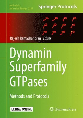 bokomslag Dynamin Superfamily GTPases