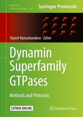 Dynamin Superfamily GTPases 1