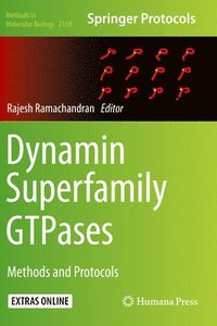bokomslag Dynamin Superfamily GTPases