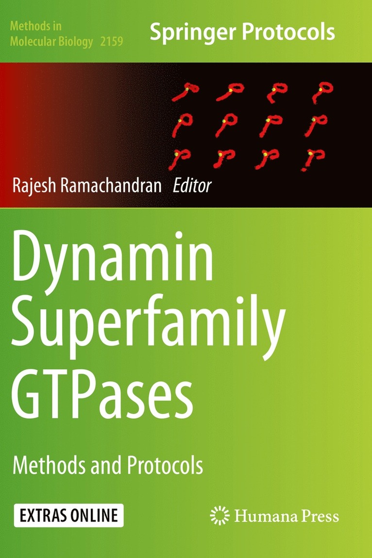 Dynamin Superfamily GTPases