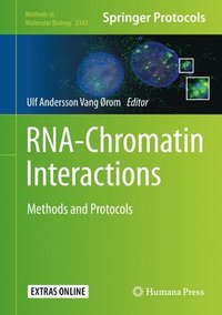 bokomslag RNA-Chromatin Interactions