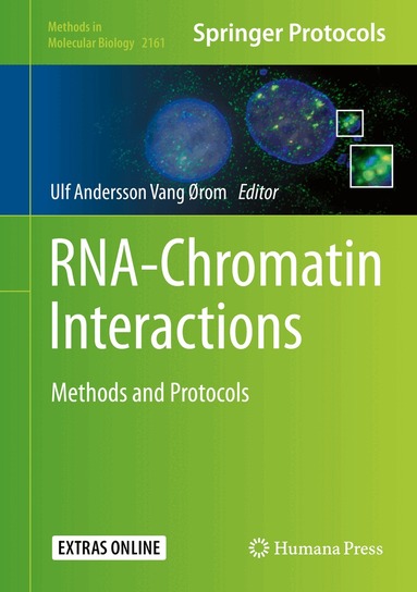 Ulf Andersson Vang Ørom - RNA-Chromatin Interactions, Inbunden