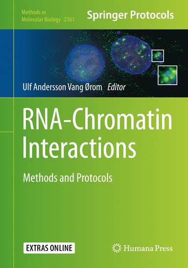 bokomslag RNA-Chromatin Interactions