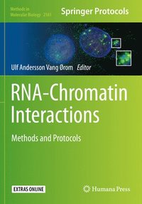 bokomslag RNA-Chromatin Interactions