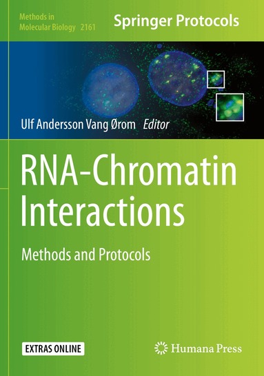 Ulf Andersson Vang Ørom - RNA-Chromatin Interactions, Häftad