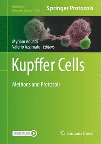 bokomslag Kupffer Cells