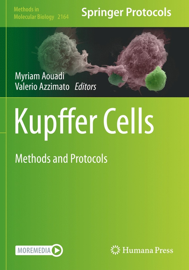 Kupffer Cells