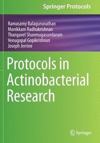 bokomslag Protocols in Actinobacterial Research