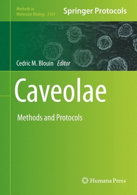 Caveolae 1