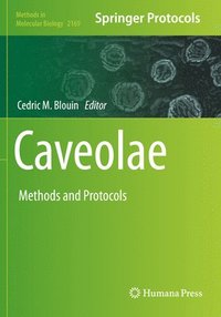 bokomslag Caveolae