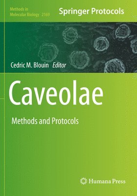 bokomslag Caveolae