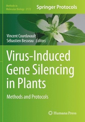 bokomslag Virus-Induced Gene Silencing in Plants