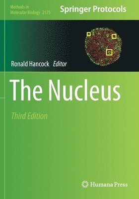 The Nucleus 1