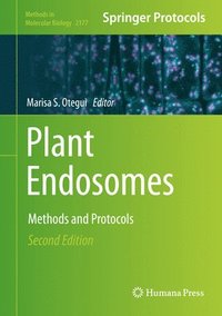 bokomslag Plant Endosomes