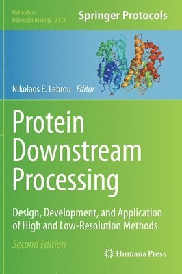 bokomslag Protein Downstream Processing