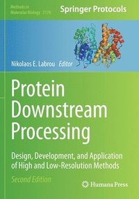 bokomslag Protein Downstream Processing
