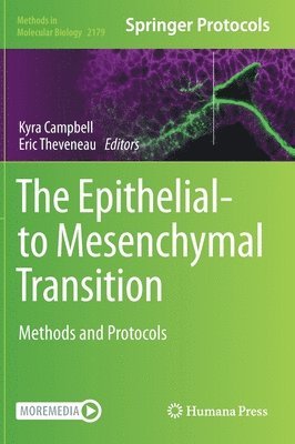 The Epithelial-to Mesenchymal Transition 1