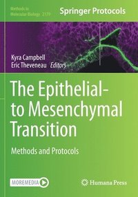 bokomslag The Epithelial-to Mesenchymal Transition