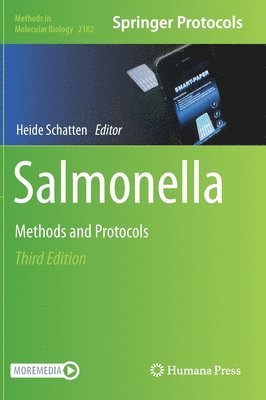 bokomslag Salmonella