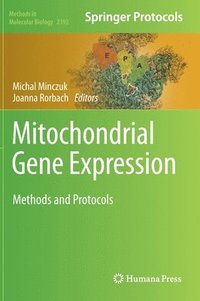 bokomslag Mitochondrial Gene Expression